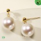 Freshwater Round Pearl Stud Earrings 10-11mm CW156116 | CWMALLS.COM